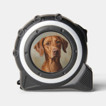Vizsla