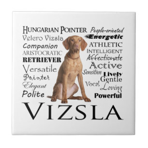 Vizsla Merkmal-Fliese Fliese