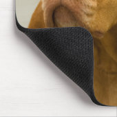 Vizsla Mousepad (Ecke)