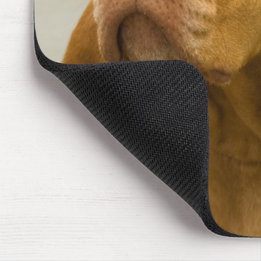Vizsla Mousepad (Ecke)