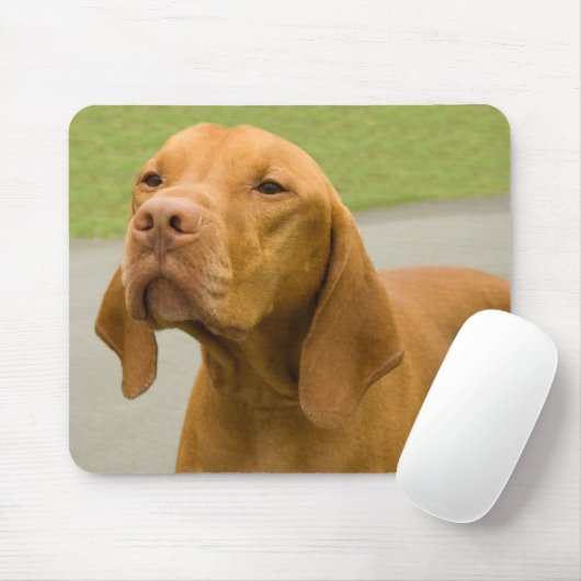 Vizsla Mousepad (Mit Mouse)
