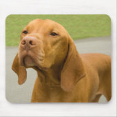 Vizsla Mousepad (Vorne)