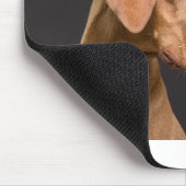 Vizsla Mousepad (Ecke)