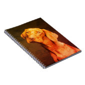 Vizsla-Notebook Notizblock (Rechte Seite)