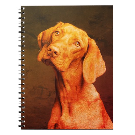 Vizsla-Notebook Notizblock (Vorderseite)