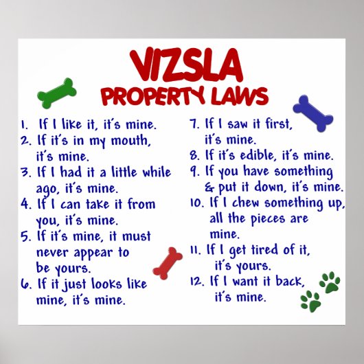 VIZSLA PL2 POSTER (Vorne)