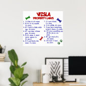 VIZSLA PL2 POSTER (Heimbüro)