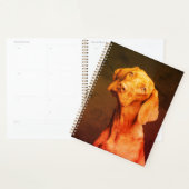 Vizsla Planer (Anzeige)