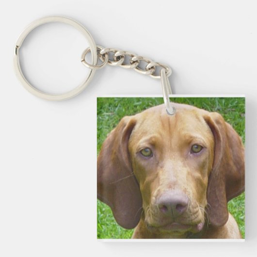 vizsla.png schlüsselanhänger (Vorderseite)