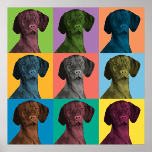 Vizsla Pop-Art-Poster Poster