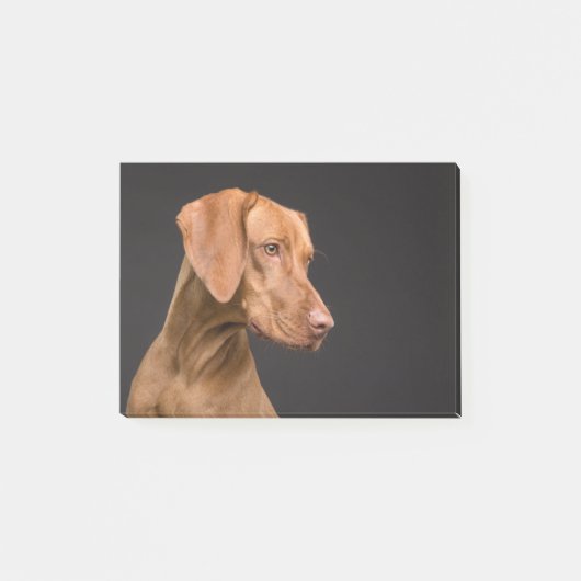 Vizsla Post-it Klebezettel (Vorderseite)