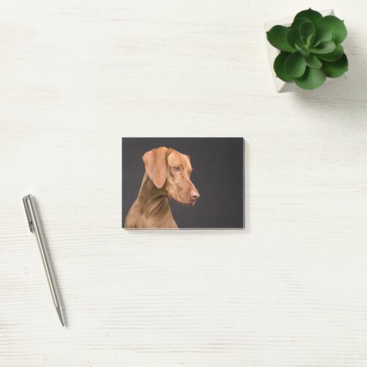 Vizsla Post-it Klebezettel (Büro)