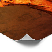 Vizsla Poster (Ecke)