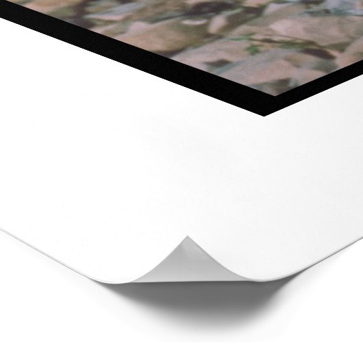 Vizsla Poster (Ecke)