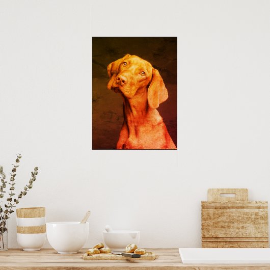 Vizsla Poster (Küche)