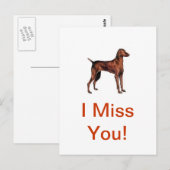 Vizsla Postkarte (Vorne/Hinten)