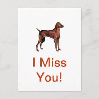 Vizsla Postkarte