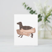 Vizsla Postkarte (Stehend Vorderseite)