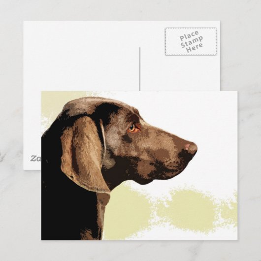 Vizsla Postkarte (Vorne/Hinten)
