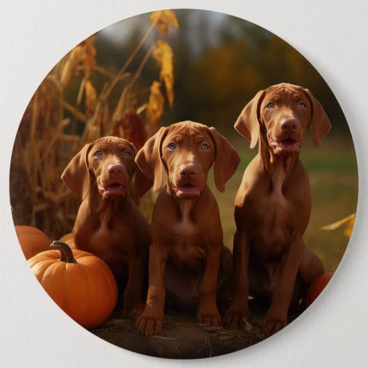 Vizsla Puppy Autumn Delight Pumpkin Button (Vorderseite)