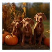 Vizsla Puppy Autumn Delight Pumpkin Poster (Vorderseite)