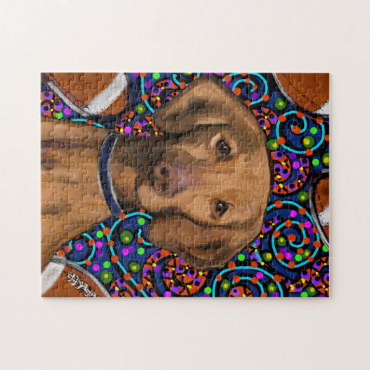 VIZSLA PUZZLE (Horizontal)