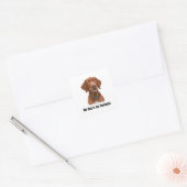 Vizsla Quadratischer Aufkleber (Umschlag)