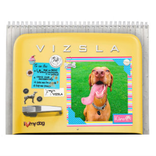 VIZSLA Retro Kühlschrank-Kalender Kalender