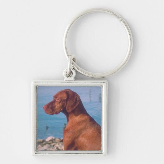 Vizsla Schlüsselanhänger (Vorne)