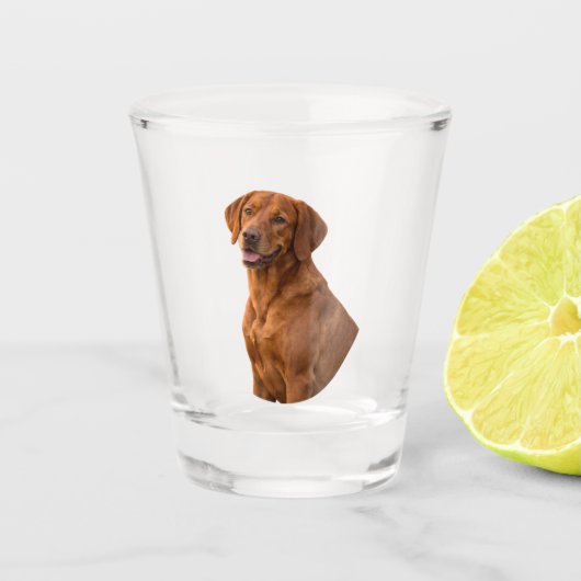 Vizsla-Schnapsglas Schnapsglas (Vorderseite)