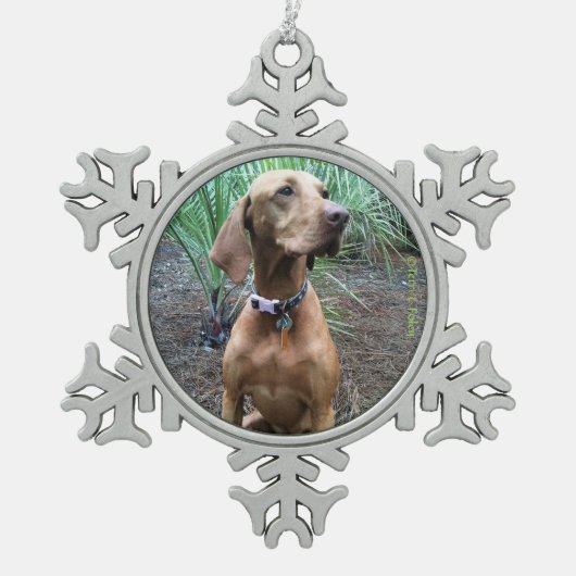 Vizsla Schneeflocke-Weihnachtsverzierung Schneeflocken Zinn-Ornament (Vorderseite)