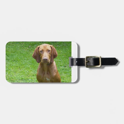 vizsla sitting.png gepäckanhänger (Vorderseite horizontal)