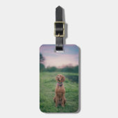 Vizsla sitzend gepäckanhänger (Vorderseite vertikal)