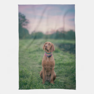 Vizsla sitzend geschirrtuch