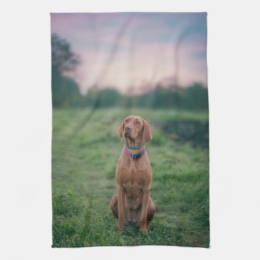 Vizsla sitzend geschirrtuch (Vertikal)