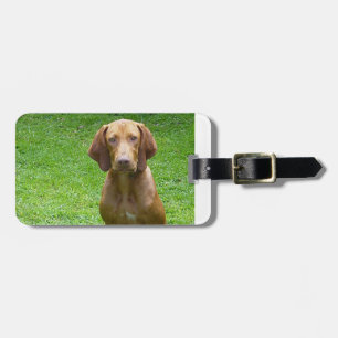 vizsla sitzend.png gepäckanhänger