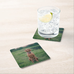 Vizsla sitzend rechteckiger pappuntersetzer