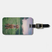 Vizsla-Sitzung Gepäckanhänger (Vorderseite horizontal)