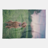 Vizsla-Sitzung Geschirrtuch (Horizontal)