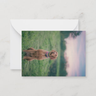 Vizsla-Sitzung Mitteilungskarte