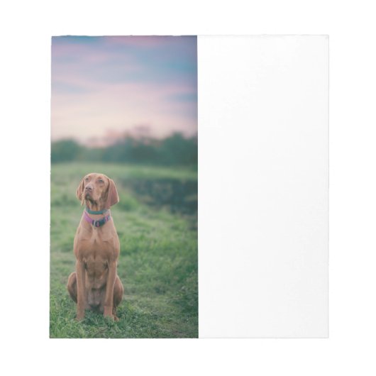 Vizsla-Sitzung Notizblock (Vorderseite)