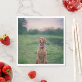 Vizsla-Sitzung Serviette (Beispiel)
