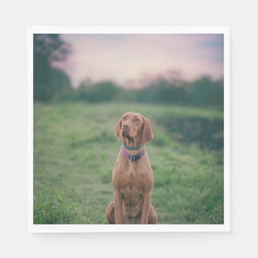 Vizsla-Sitzung Serviette (Vorderseite)