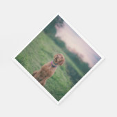 Vizsla-Sitzung Serviette (Ecke)
