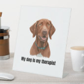 Vizsla Sockelschild (In Situ)