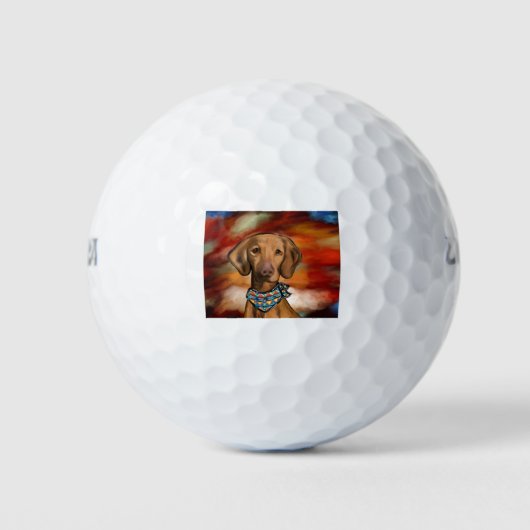 Vizsla Southwestern Golfball (Vorderseite)
