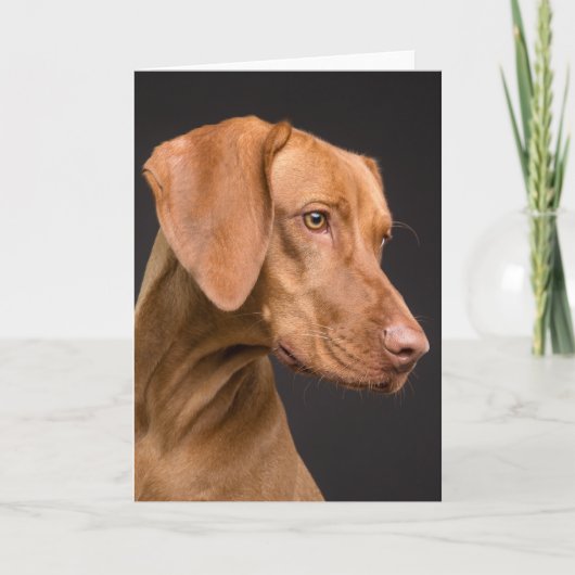 Vizsla Sporting Dog Dankeskarte (Vorderseite)