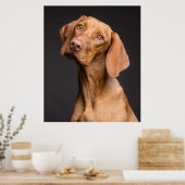 Vizsla Sporting Dog Poster (Küche)