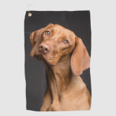 Vizsla Sporting Hund Golfhandtuch (Vorderseite)