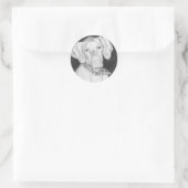 Vizsla Stickers (Tasche)